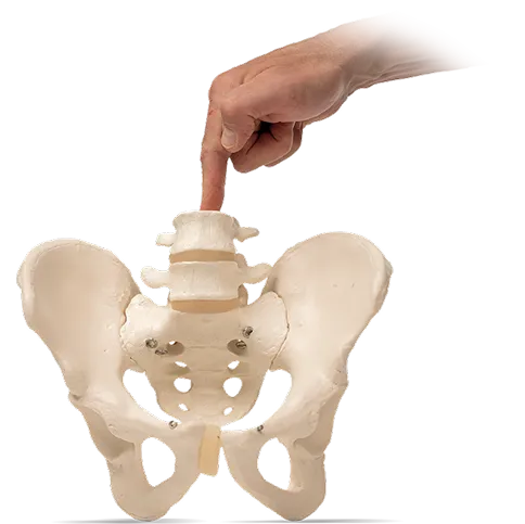 Pelvic Floor Masterclass