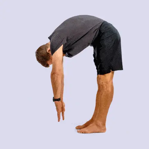 Flexibility Forward Fold