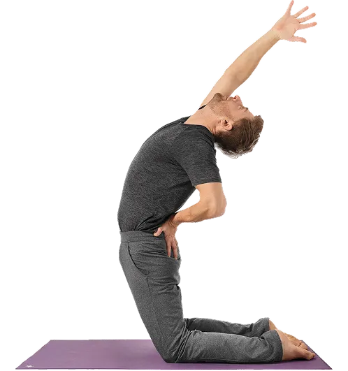 Chair Yoga Masterclass