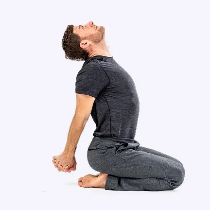 Flexibility